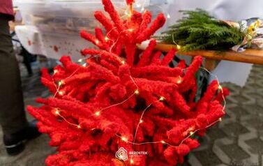 kiermasz_swiateczny_2025_015