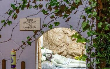groby_panskie_2026_013