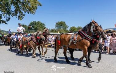 odpust_przeczyca_2026_228