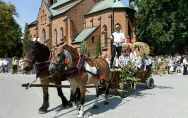 Odpust_Przeczyca_2024_185