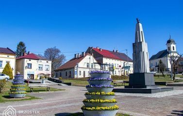 IMG_3509