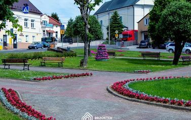 Brzostek_Planty_2022IMG_6031