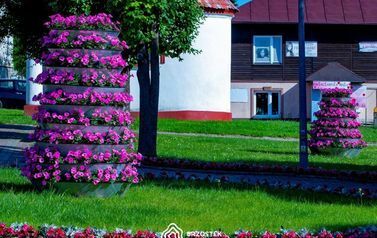 Brzostek_Planty_2022IMG_6104