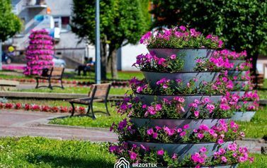 Brzostek_Planty_2022IMG_6063