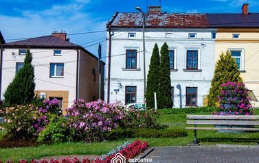 Brzostek_Planty_2022IMG_6059