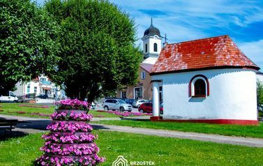 Brzostek_Planty_2022IMG_6051