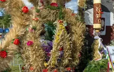 dozynki_brzostek_2025_104