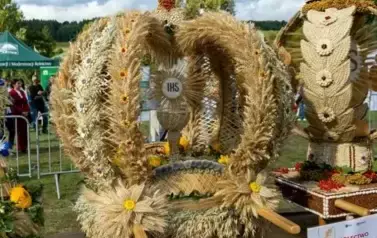 dozynki_brzostek_2025_099