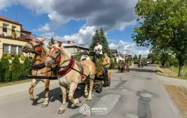 dozynki_brzostek_2025_040