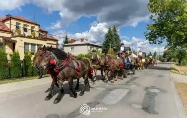 dozynki_brzostek_2025_038