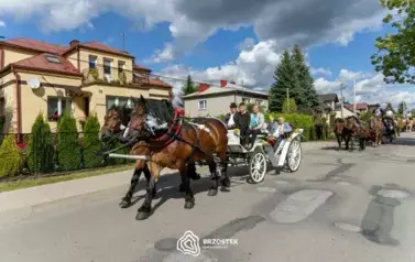 dozynki_brzostek_2025_037