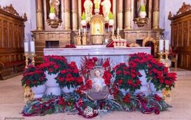 szopka_bozonarodzeniowa_brzostek_2025_003