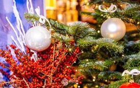 szopka_bozonarodzeniowa_brzostek_2025_011