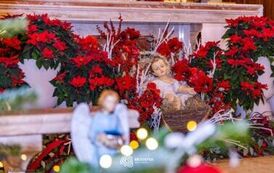 szopka_bozonarodzeniowa_brzostek_2025_010