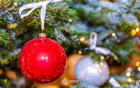 szopka_bozonarodzeniowa_brzostek_2025_009