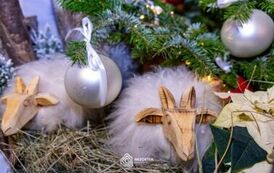 szopka_bozonarodzeniowa_brzostek_2025_013