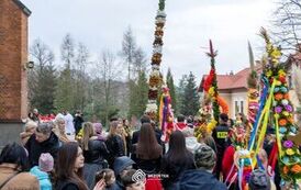 przeczyca_palma_2026_031