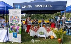 Dożynki Powiatowe 2026_139