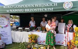 Dożynki Powiatowe 2026_133