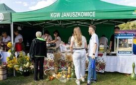Dożynki Powiatowe 2026_130