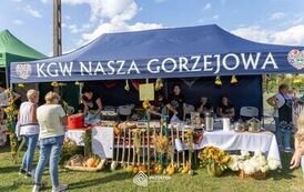 Dożynki Powiatowe 2026_124