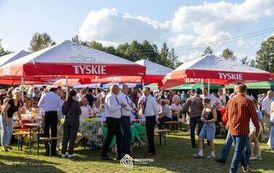 Dożynki Powiatowe 2026_225