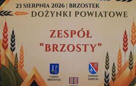 Dożynki Powiatowe 2026_KK072