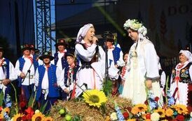 Dożynki Powiatowe 2026_KK019