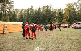 Wspolny slad_028