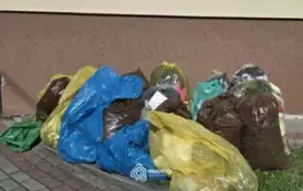 sprzatanie_swiata_brzostek_070