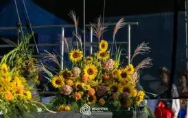 dozynki_brzostek_2025_255