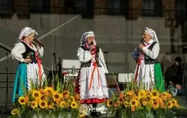 dozynki_brzostek_2025_246