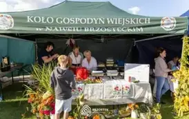 dozynki_brzostek_2025_241