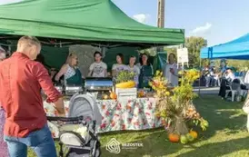 dozynki_brzostek_2025_239