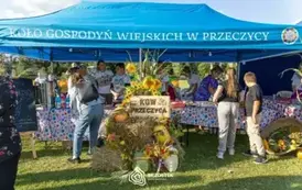 dozynki_brzostek_2025_237