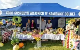 dozynki_brzostek_2025_236