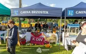 dozynki_brzostek_2025_232