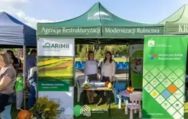 dozynki_brzostek_2025_230