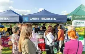 dozynki_brzostek_2025_228