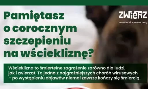 Zdjęcie do Pamiętaj o corocznym szczepieniu na wściekliznę