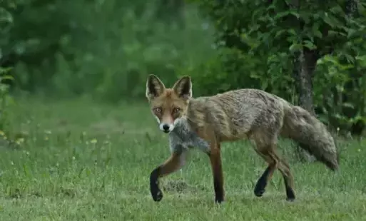 Zdjęcie artykułu z dnia 20-06-2025