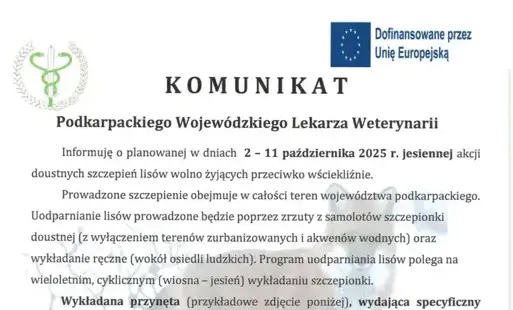 Zdjęcie artykułu z dnia 26-09-2025