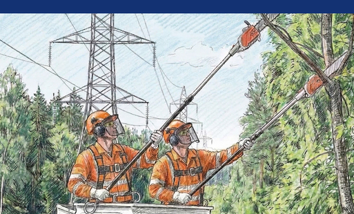 Zdjęcie artykułu z dnia 16-04-2026