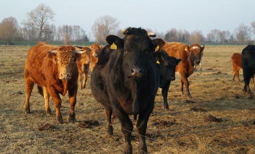 Zdjęcie artykułu z dnia 21-04-2026