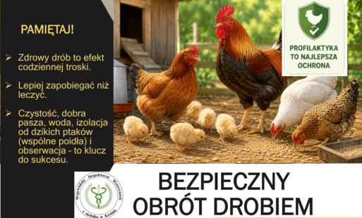 Zdjęcie do Komunikat Powiatowego Lekarza Weterynarii dotyczący bezpiecznego obrotu drobiem