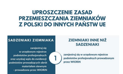 Zdjęcie do Uproszczenie zasad przemieszczania ziemniak&oacute;w z Polski do innych państw UE