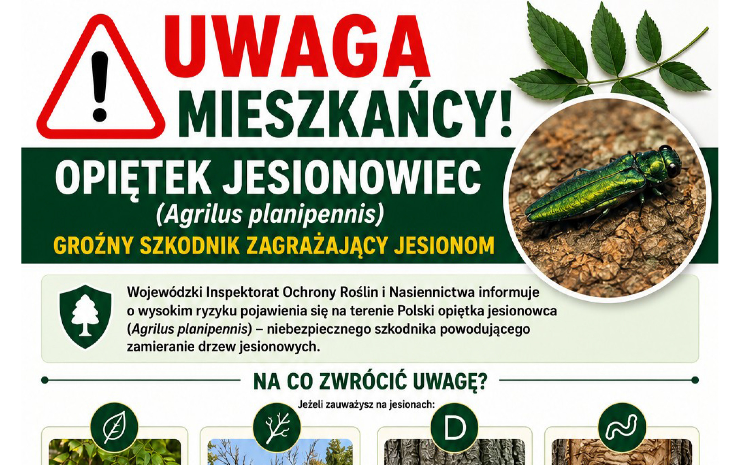 Zdjęcie artykułu z dnia 24-07-2026
