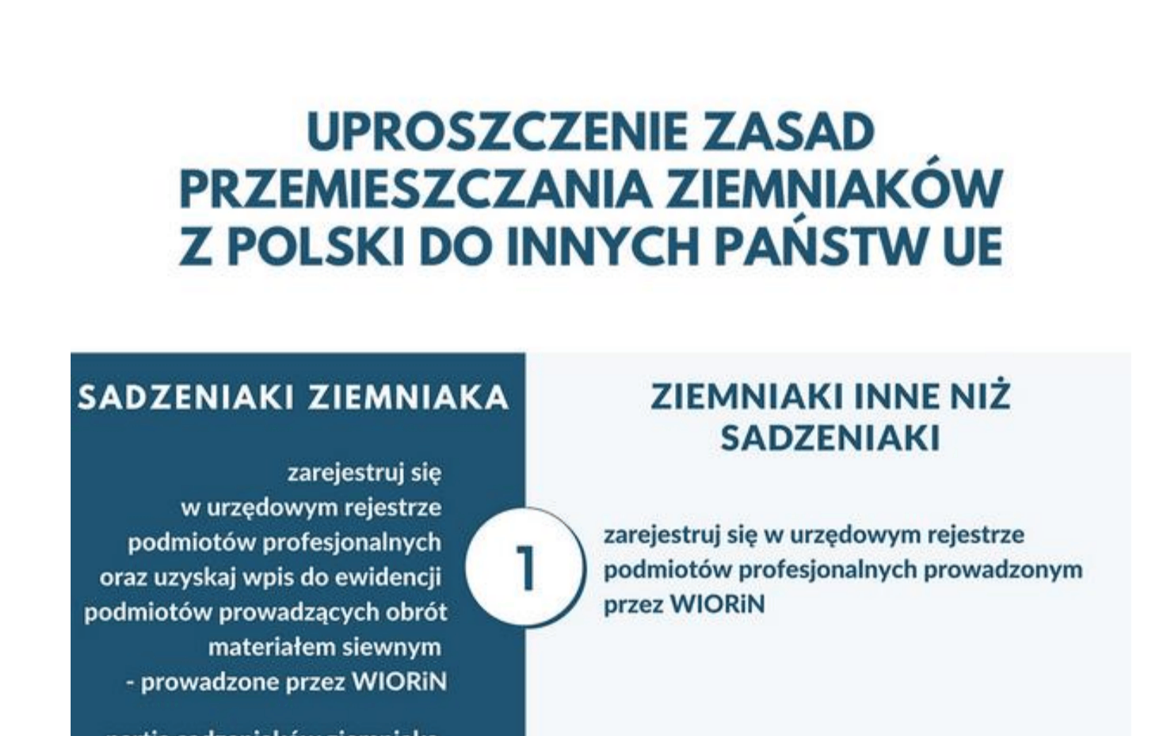 Zdjęcie artykułu z dnia 23-10-2026